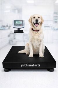 B5 60x70 Cm 200 Kg Veteriner Baskülü