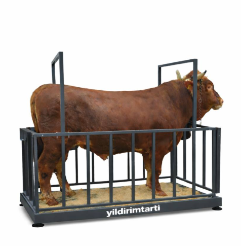 PLUS 2 Ton Özel Üretim Canlı Hayvan Baskülü