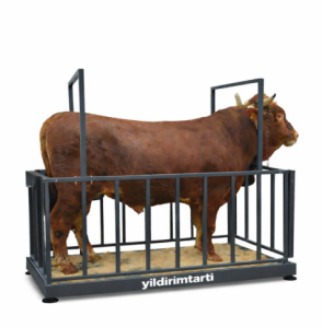 PLUS 2 Ton Özel Üretim Canlı Hayvan Baskülü