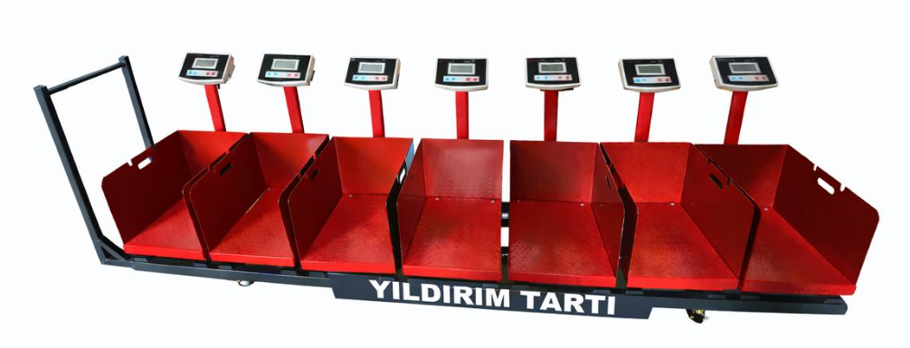 B5  7  Hisse Pay Baskülü