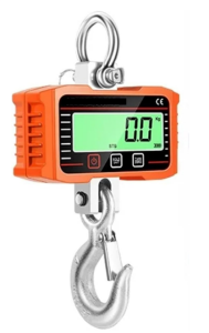 Mini 2 Ton Vinç Kantarı