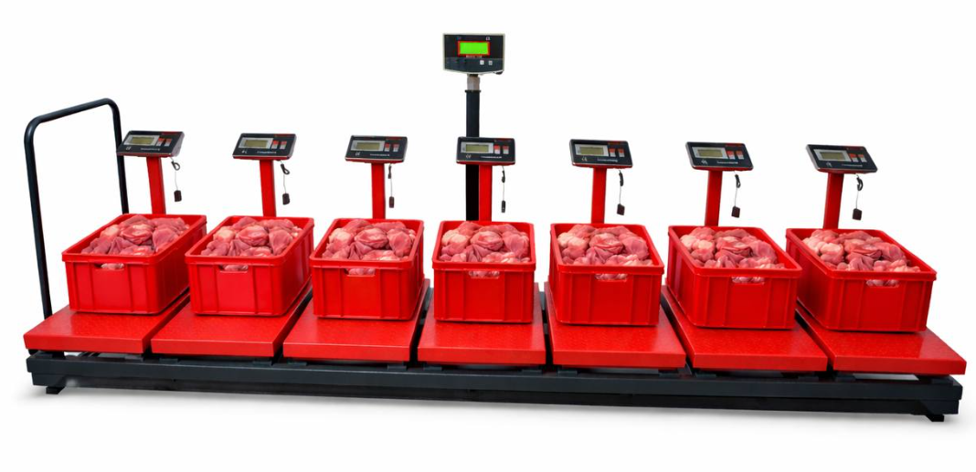 PLUS 7+1 Kurban Hisse Pay Baskülü