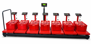 PLUS 7+1 Kurban Hisse Pay Baskülü